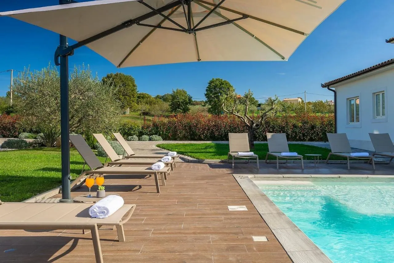 Modern Villa Grgo With Pool And Jacuzzi In Tinjan
